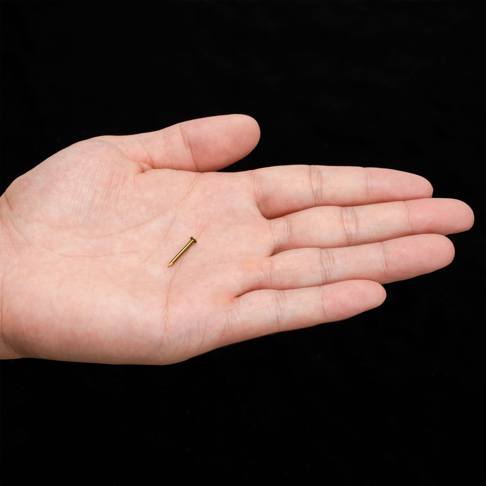 0.6" Pure Brass Nails - Bag of 100-Chinese Brass Hardware