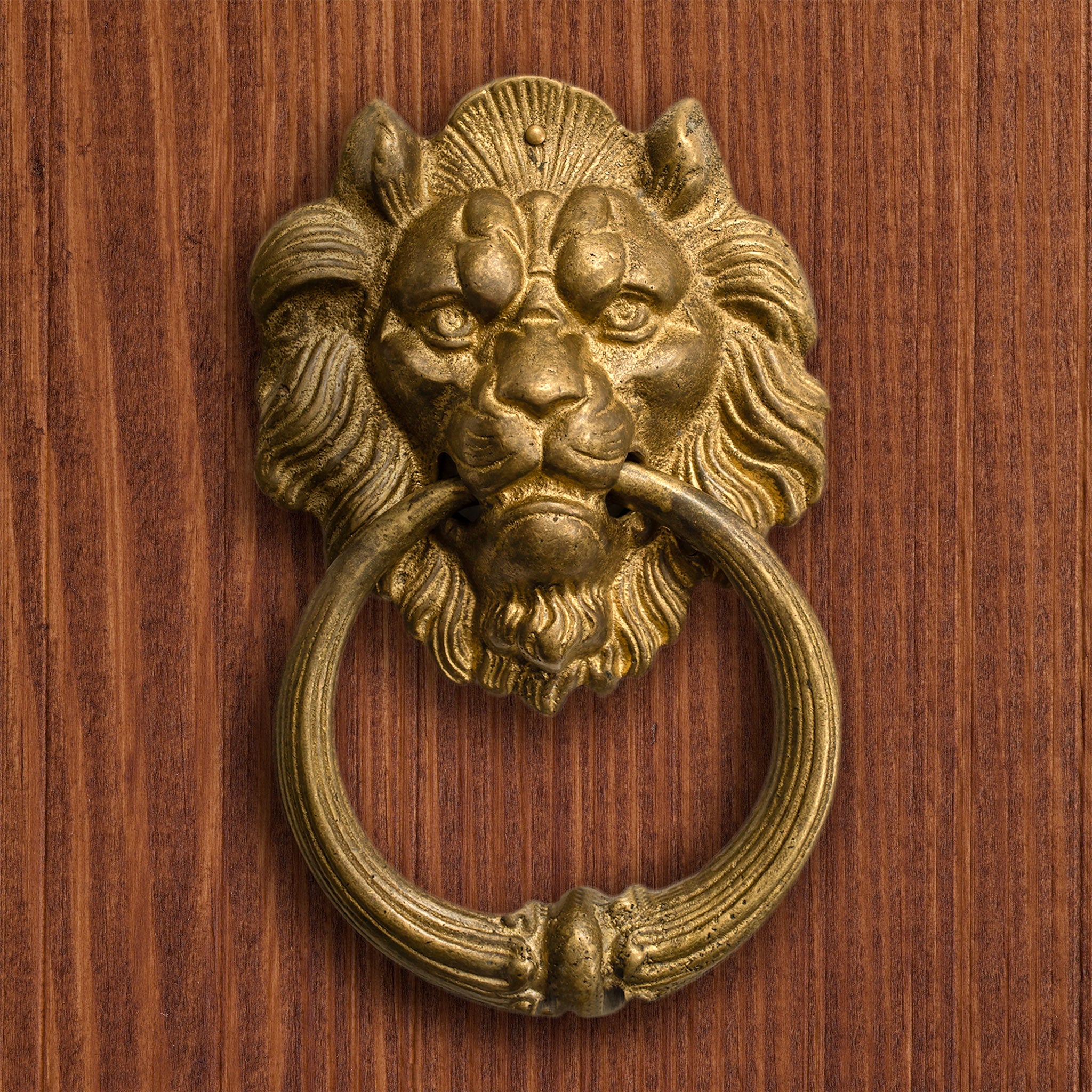 Frowning Lion Pull 7.1"-Chinese Brass Hardware