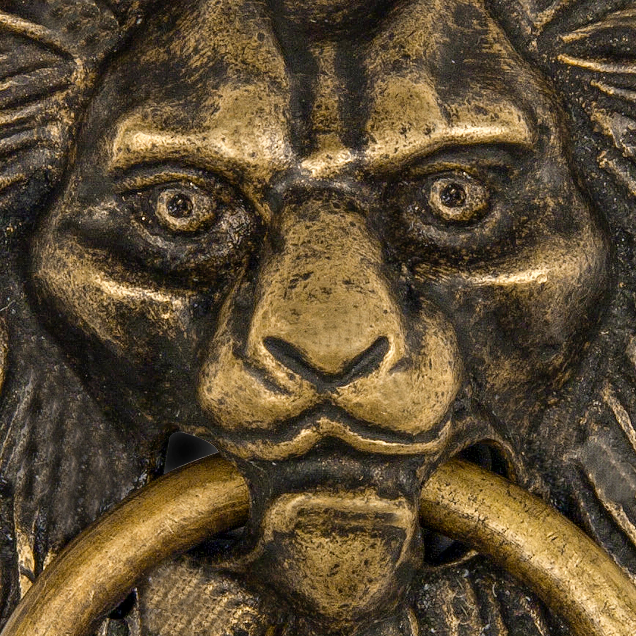 Golden Hair Lion Door Pull 4"-Chinese Brass Hardware