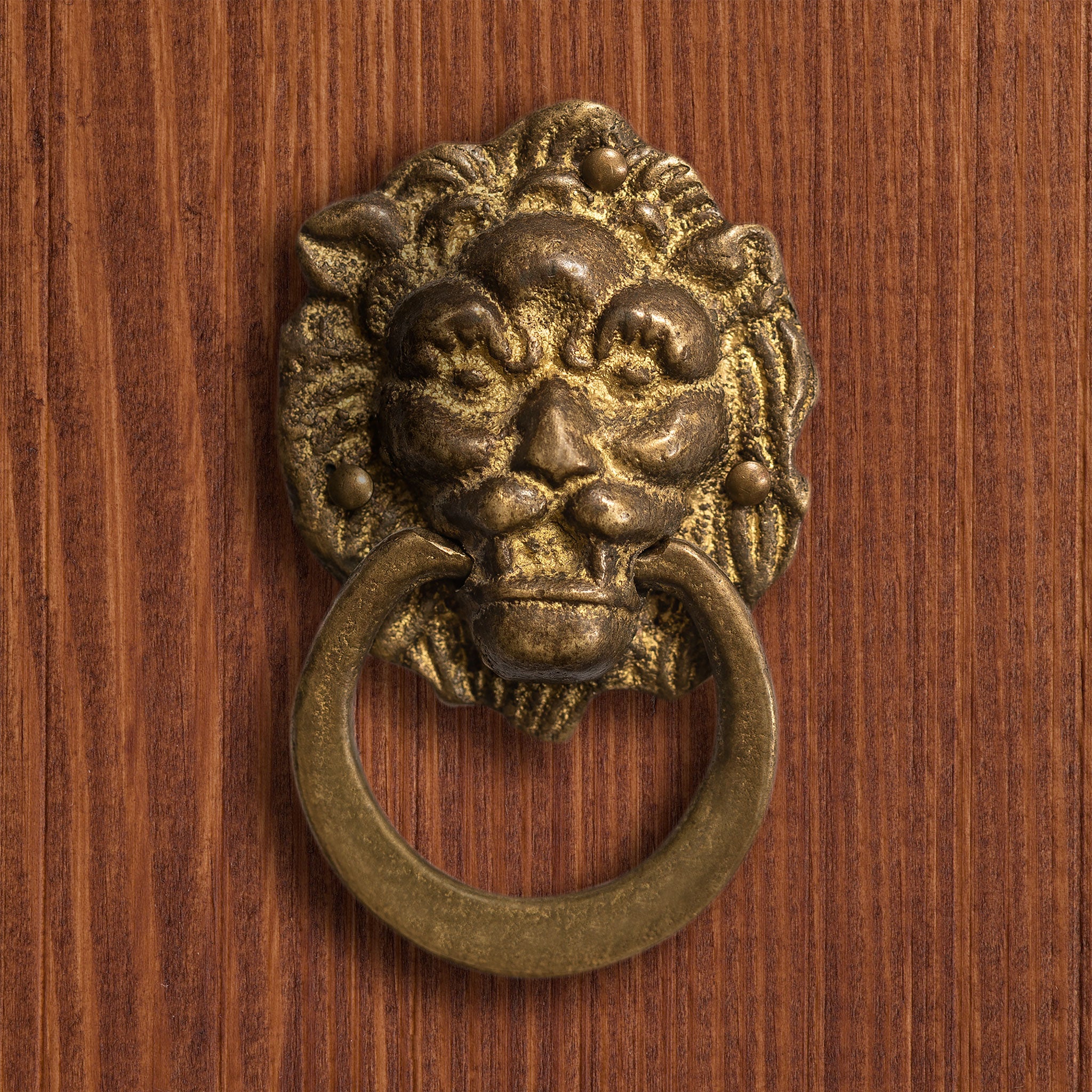 Miniature Gold Lion Pulls 2.2" - Set of 2-Chinese Brass Hardware