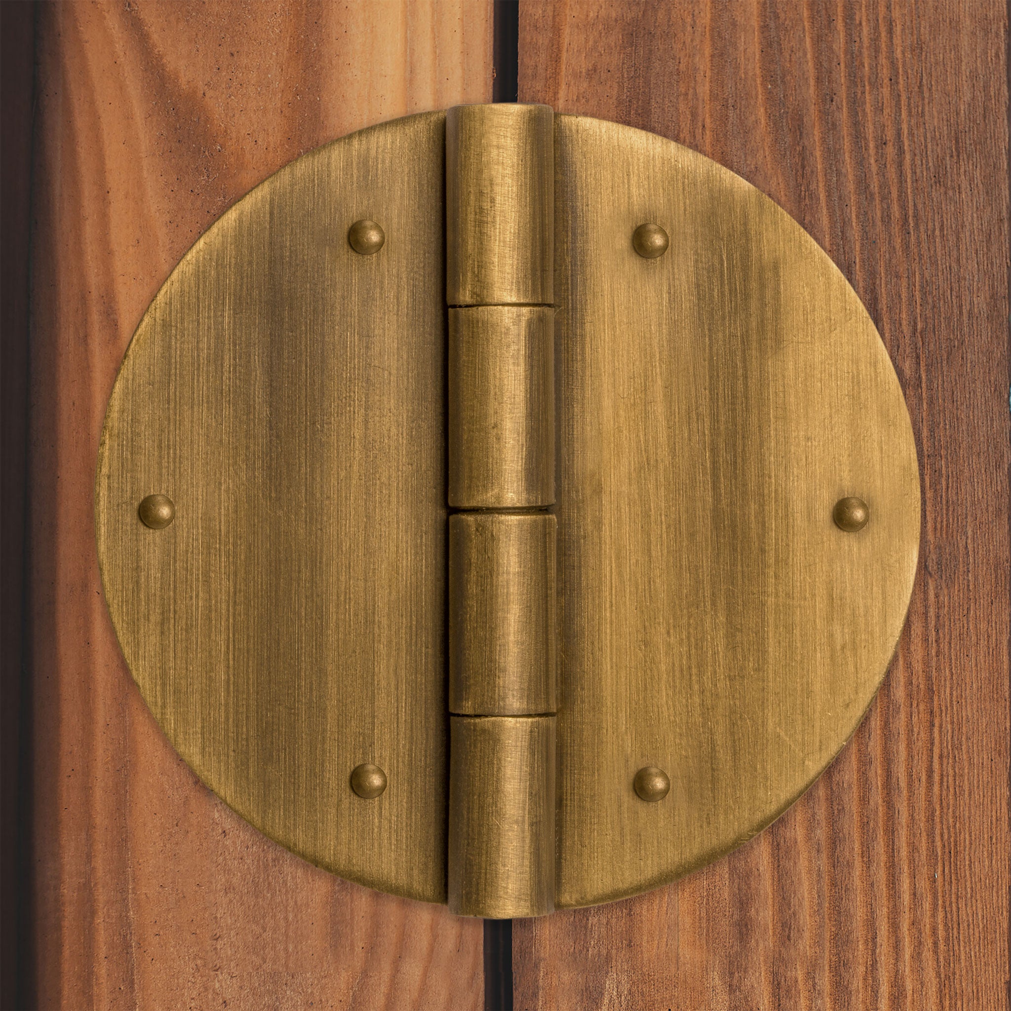 Round Brass Hinges 2.8" - Set of 2-Chinese Brass Hardware